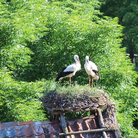 Zywkowo Bocianie Venkovský dům *