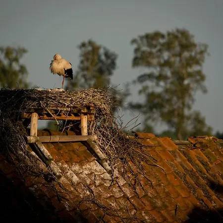Casa di campagna Zywkowo Bocianie Gorowo Ilaweckie