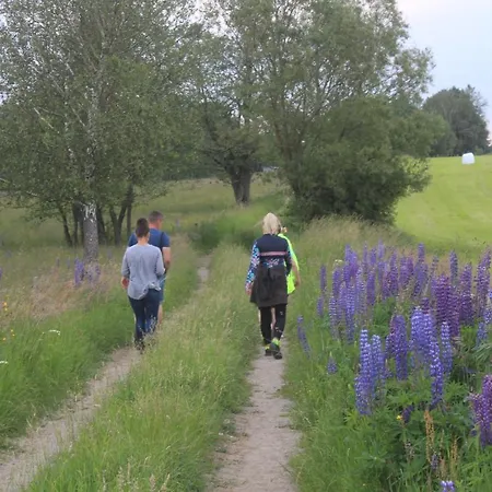 Landhaus Zywkowo Bocianie