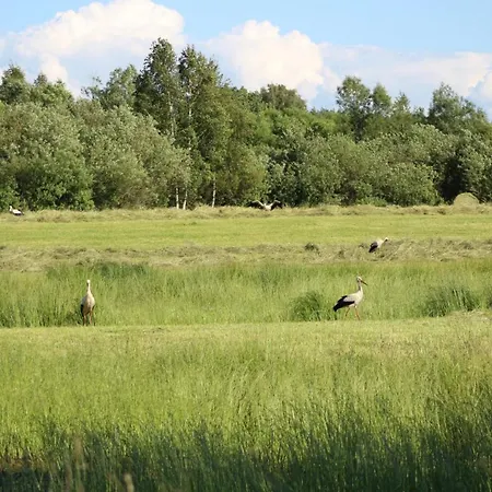 Zywkowo Bocianie Lantställe Gorowo Ilaweckie