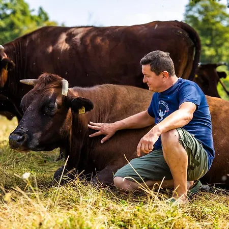 Zywkowo Bocianie Venkovský dům
