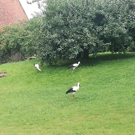 Casa di campagna Zywkowo Bocianie Gorowo Ilaweckie