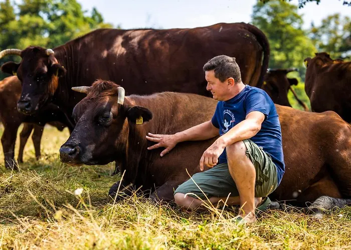 Zywkowo Bocianie Country house