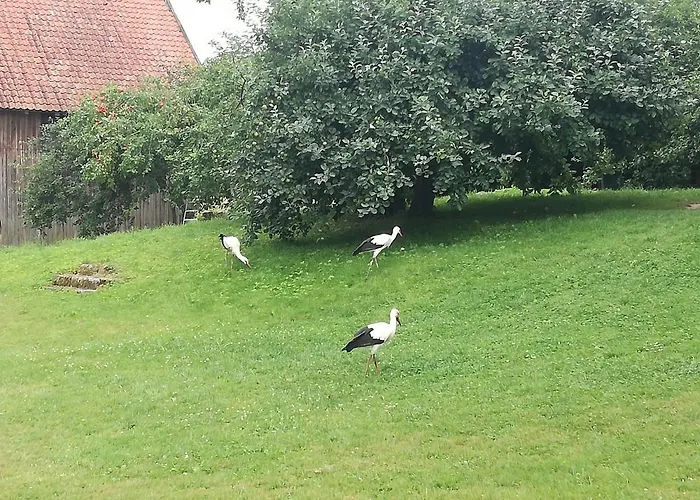 Country house Zywkowo Bocianie Gorowo Ilaweckie